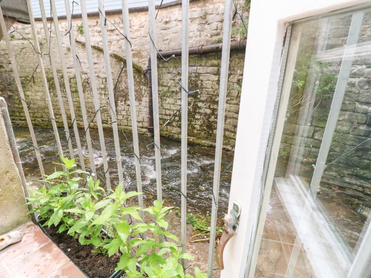 Riverdance Cottage Lyme Regis Exterior foto